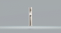 BDM039-1.gif